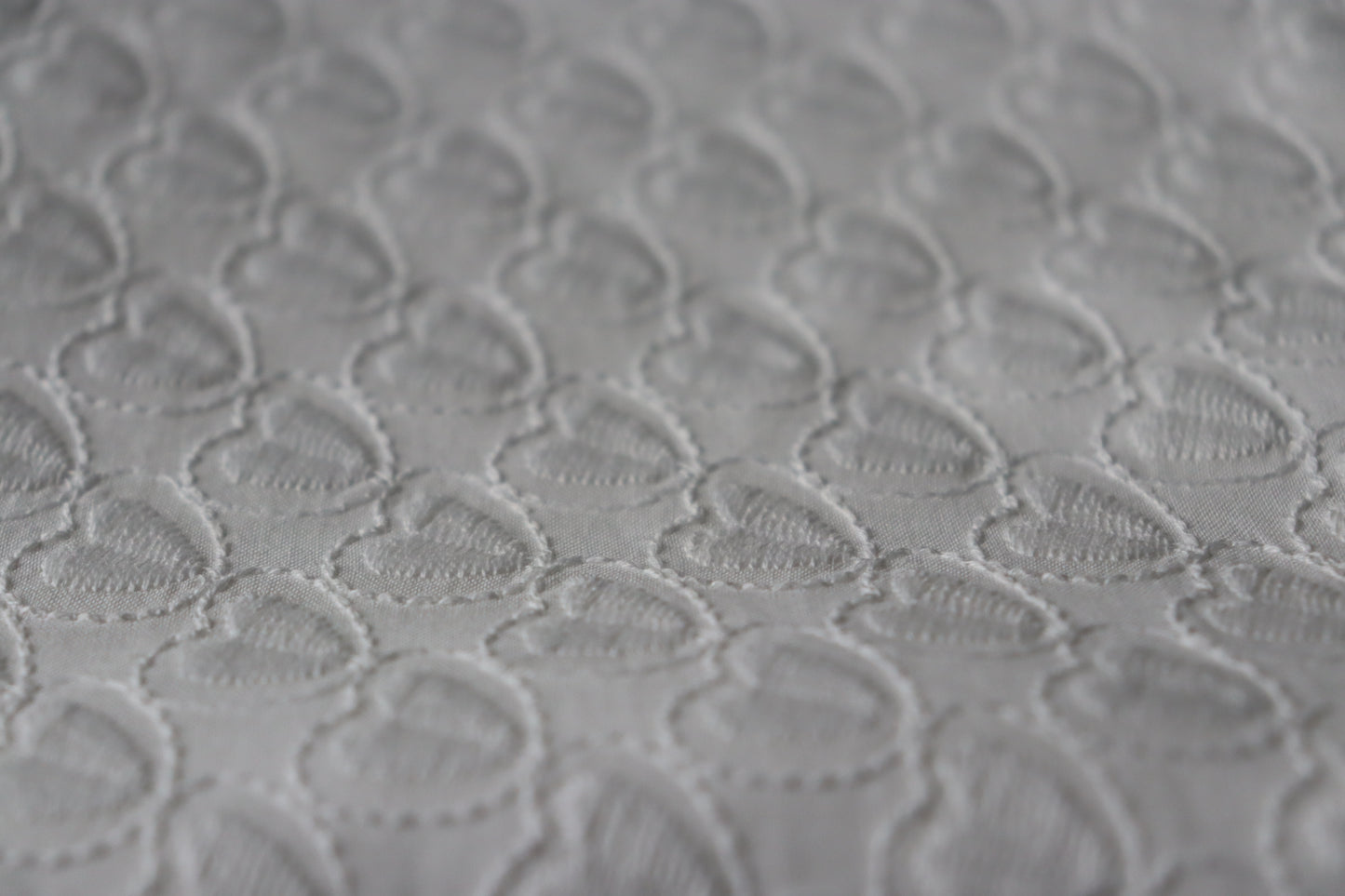 Tissu coton brodé | Clara